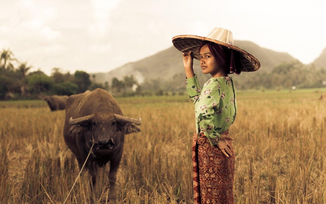 Pelatihan Keterampilan Bisnis untuk UMKM Desa Kamal