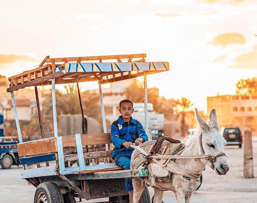 Program Bantuan Sosial dan Pembangunan Infrastruktur Desa Kamal