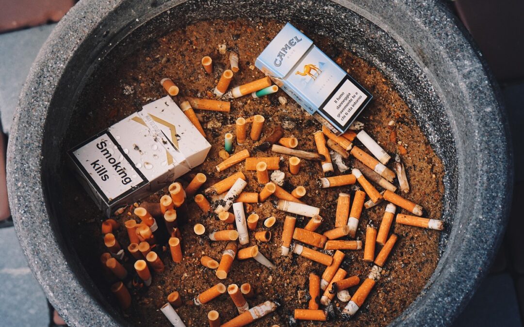 Pengembangan Wisata Desa Kamal sebagai Sumber Pendapatan Baru