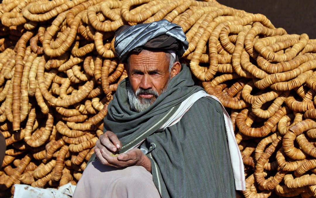 Memanfaatkan Teknologi untuk Meningkatkan Hasil Pertanian di Desa Kamal