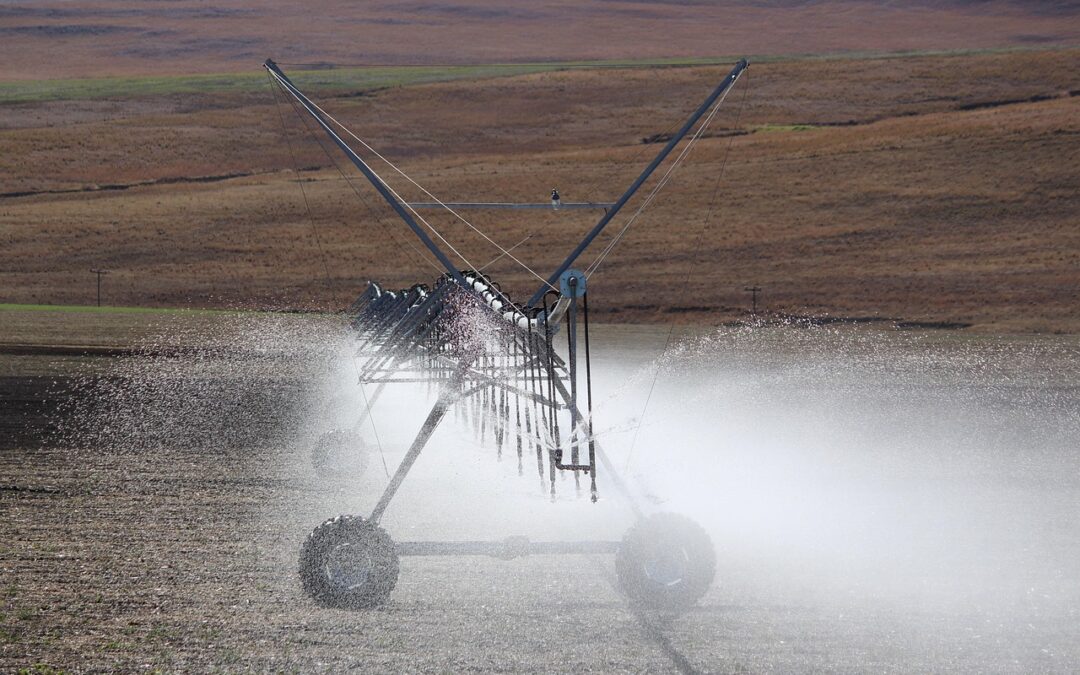 Keberhasilan Usaha Mikro di Desa Kamal
