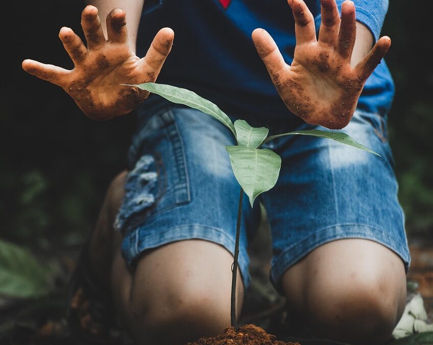 Membangun Kesadaran Lingkungan di Desa Kamal